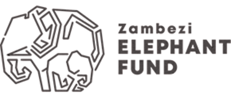 WCS 96E Logo Zambezi Elephant Fund