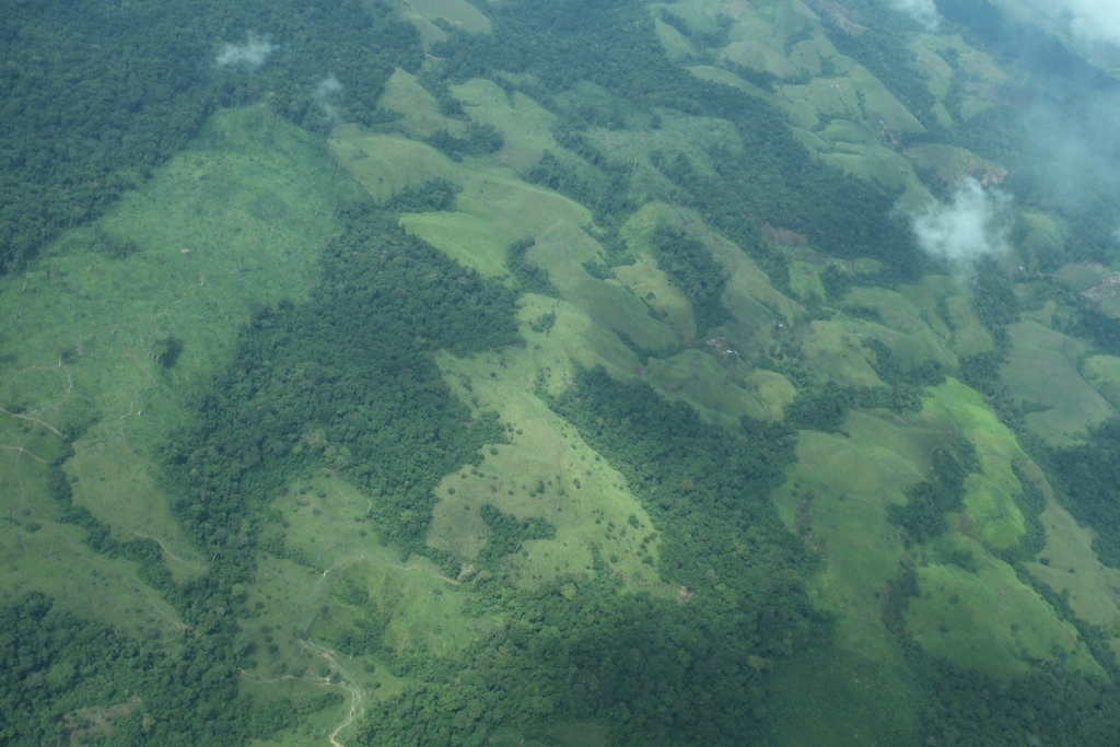 World Heritage Sites Face Threat - WCS.org