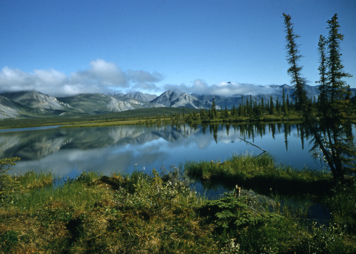 Protect Alaska's Last Great Wilderness