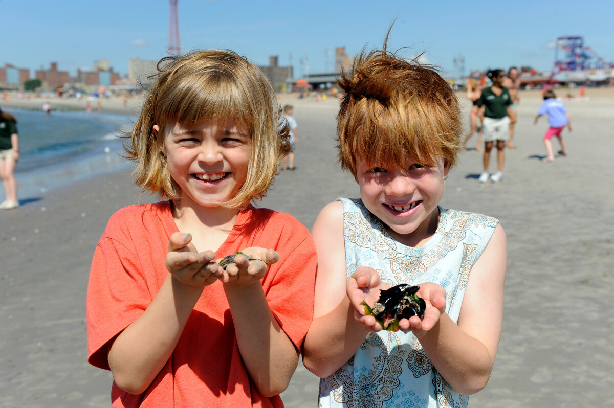 Family Programs New York Aquarium