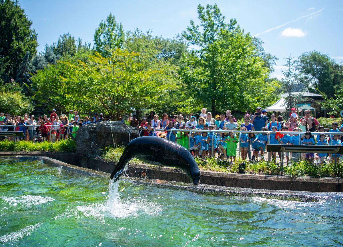 School Break Camps Queens Zoo