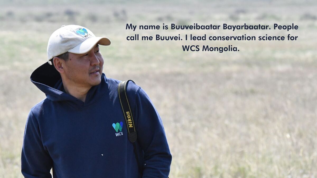 Mongolia - WCS.org