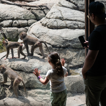 Early Childhood Programs - Bronx Zoo