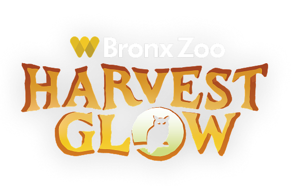 Harvest Glow