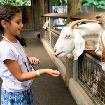 Bronx Zoo photo from the official site
