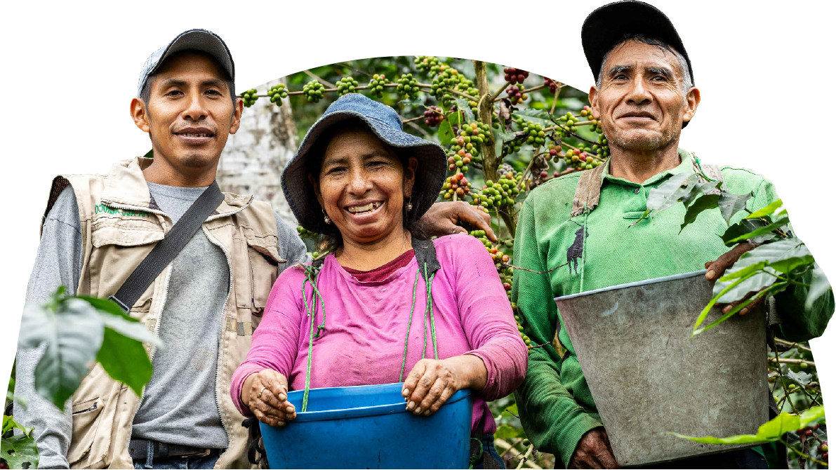 Local Partners