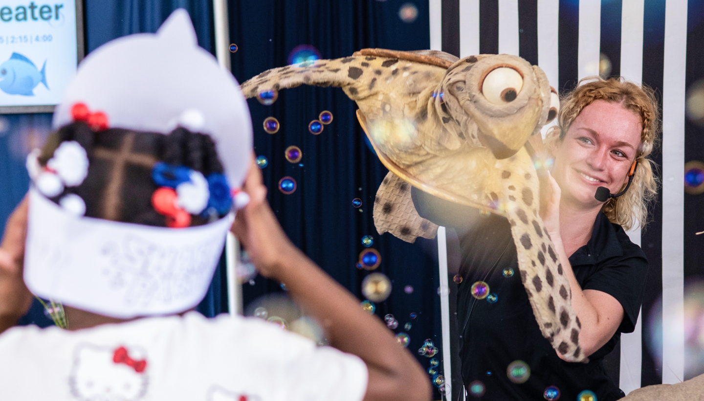 Ocean Shell-a-bration Weekend