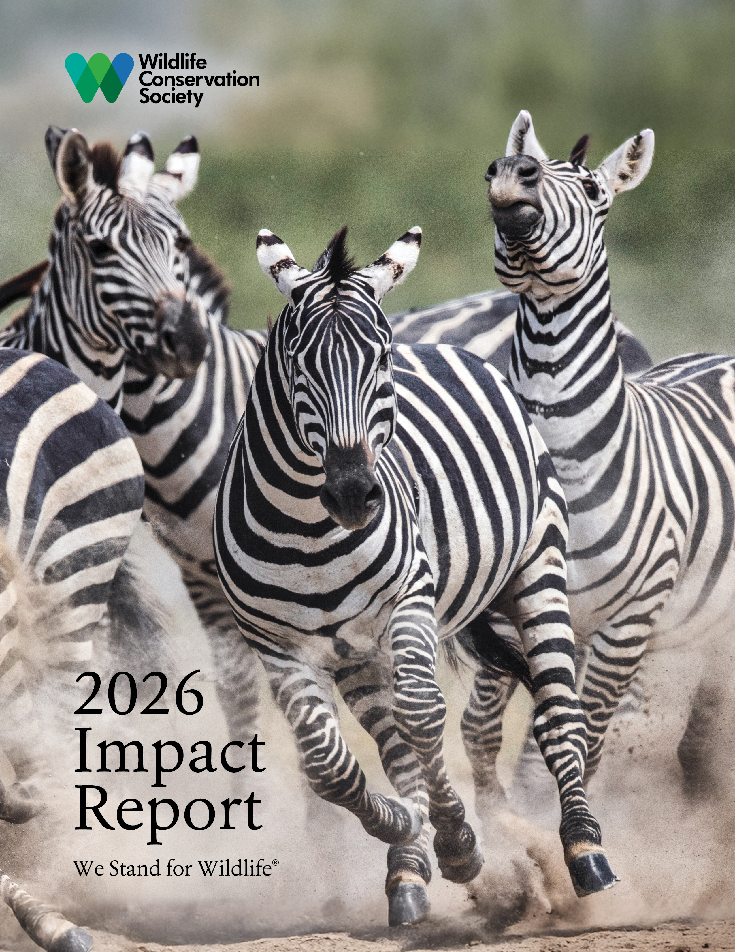 WCS Impact Report 2026