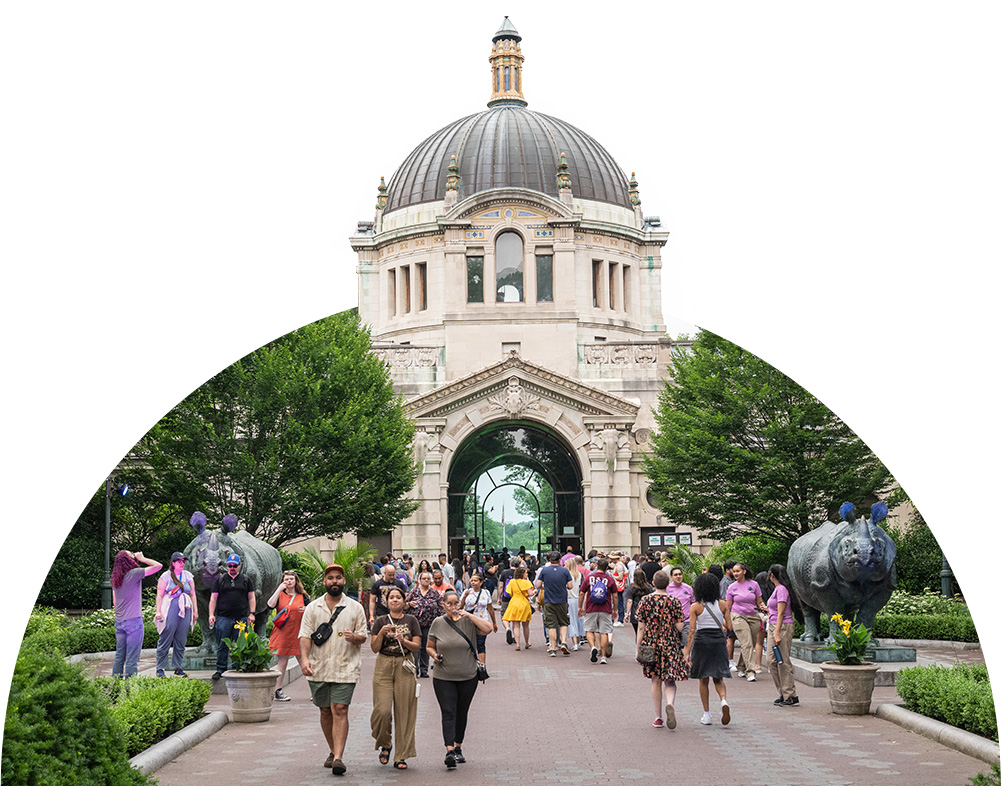 Visitors