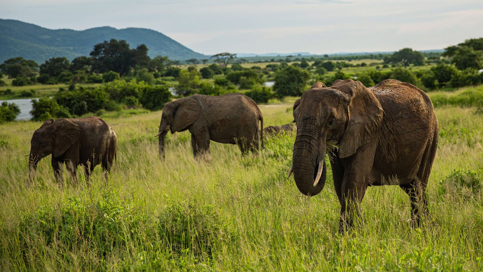 New protected areas