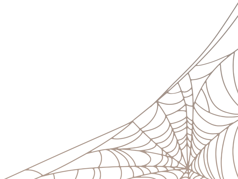 Spiderweb