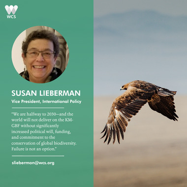 WCS CBD COP17 Quote Cards - Sue Lieberman