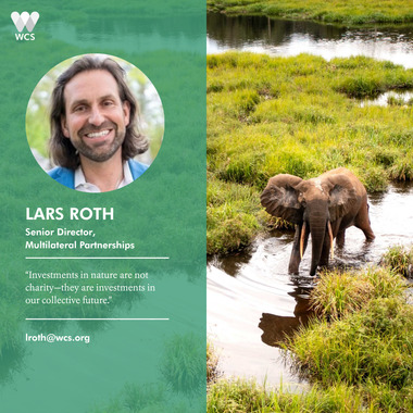 WCS CBD COP17 Quote Cards - Lars Roth