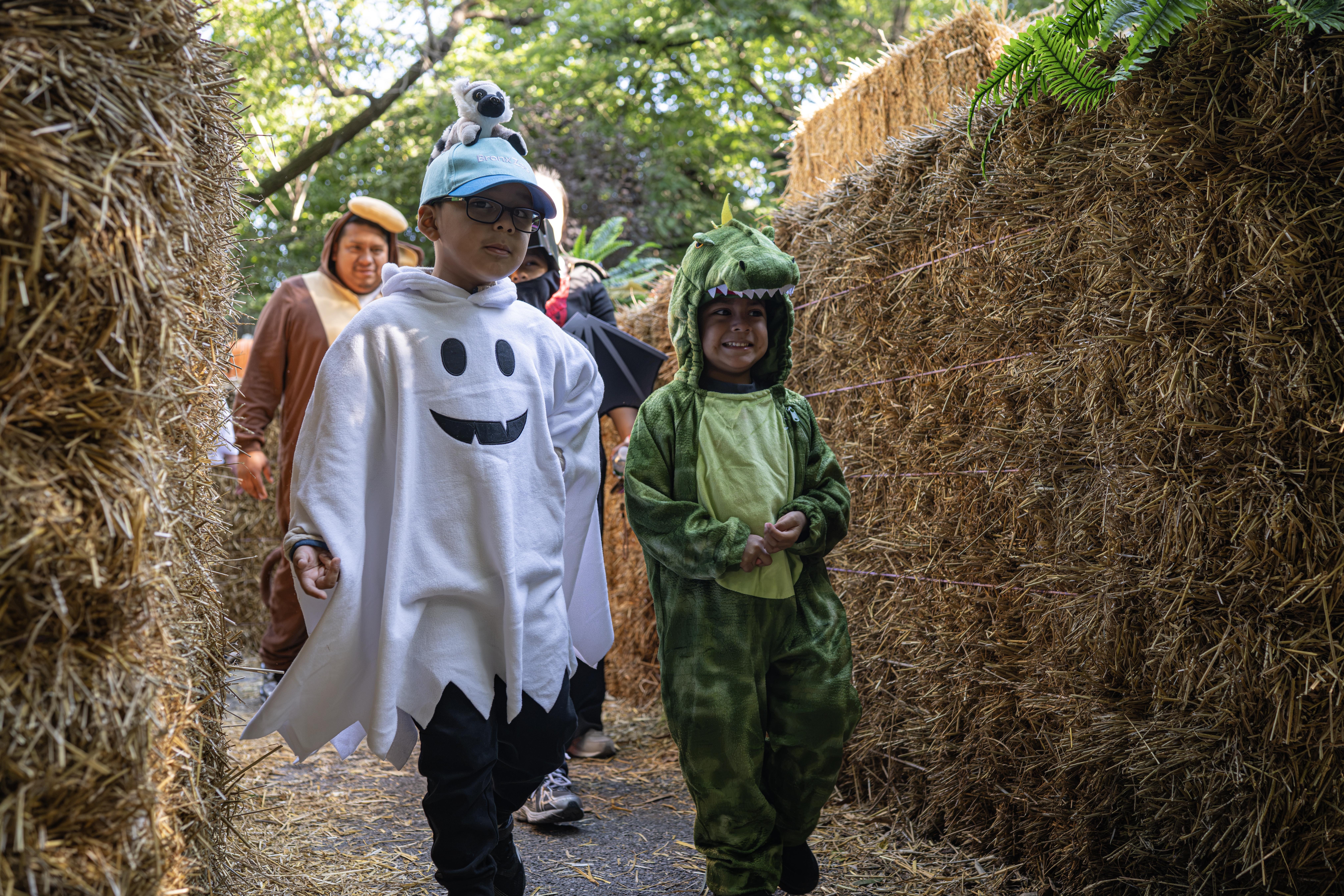 Boo at the Zoo at the Bronx Zoo